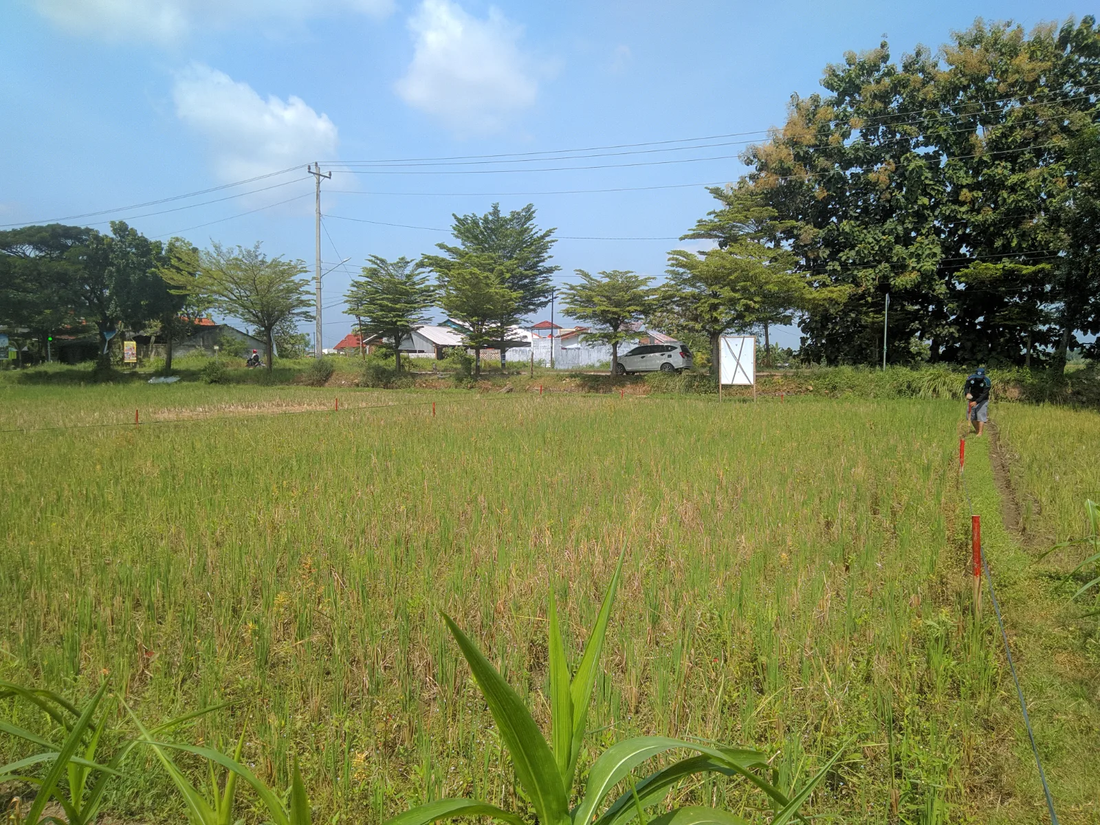 IMG 20260301 095531